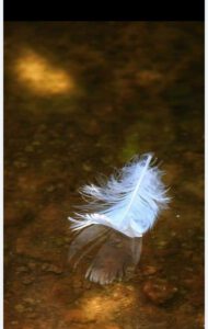 Praktijk Maanlicht-Praktijkmaanlicht.nl-Moniek Klister-Woman and Child carePraktijk Maanlicht-Praktijkmaanlicht.nl-Moniek Klister-Woman and Child care