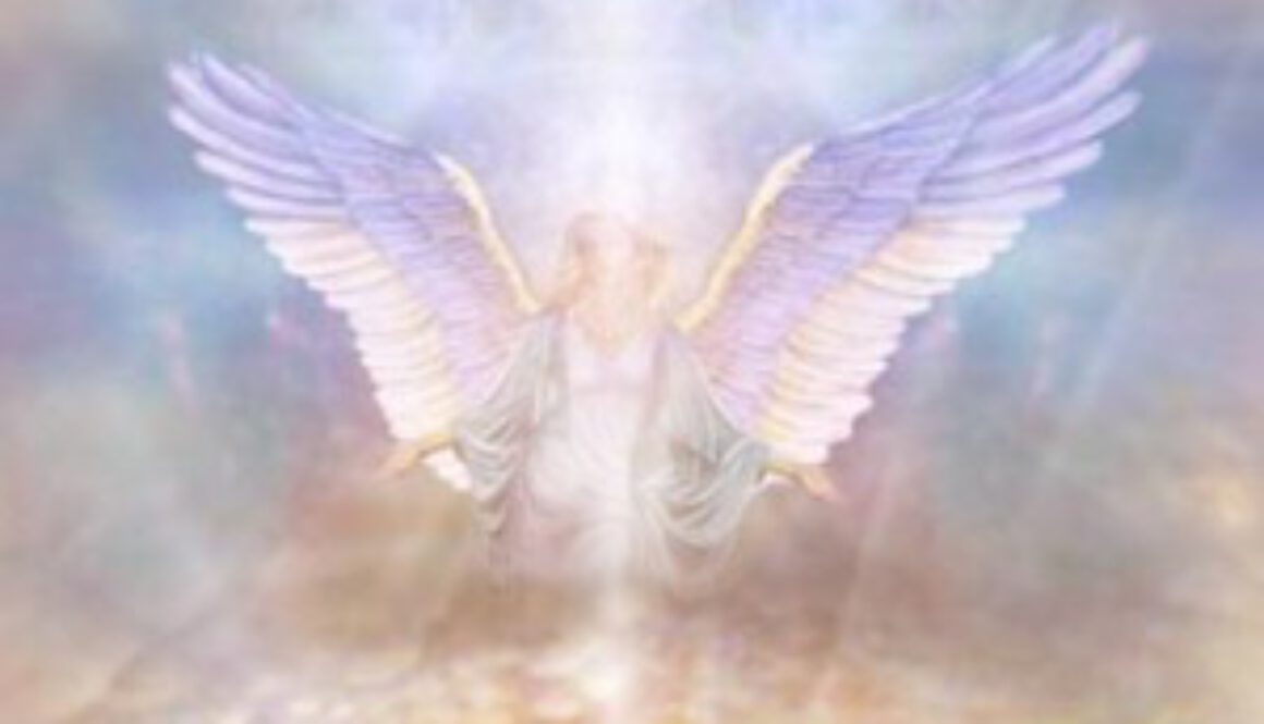 angel-1-300x255