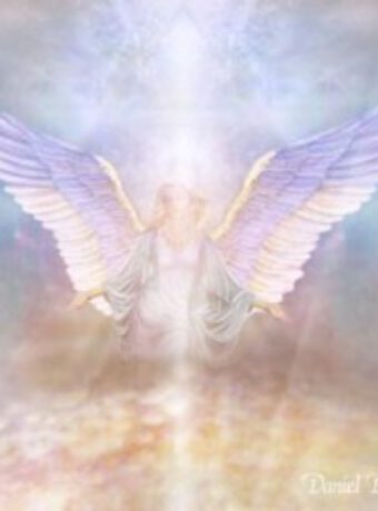 angel-1-300x255
