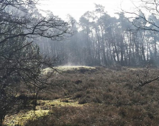 Vasserheide-grafheuvels