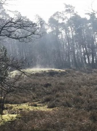 493275257_3585498895083594_2961330351756492938_n