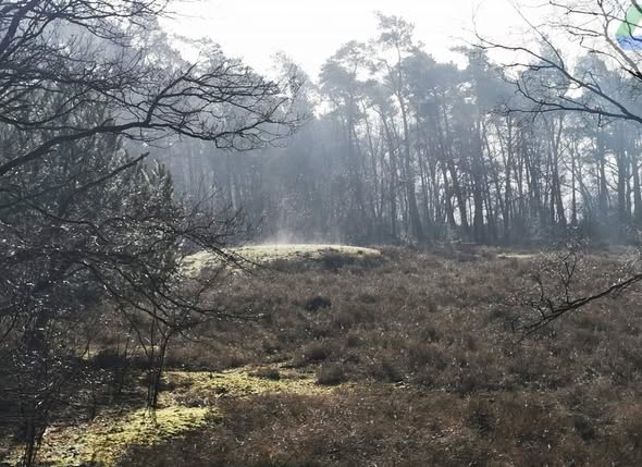 493275257_3585498895083594_2961330351756492938_n